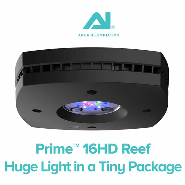 AI Prime 16 HD - Image 2