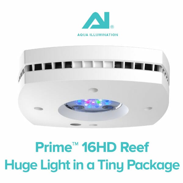 AI Prime 16 HD - Image 3