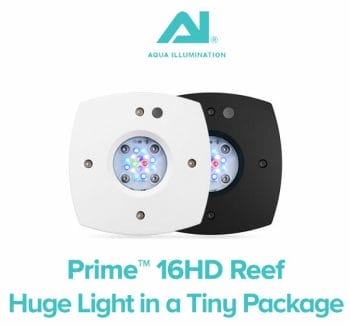 AI Prime 16 HD