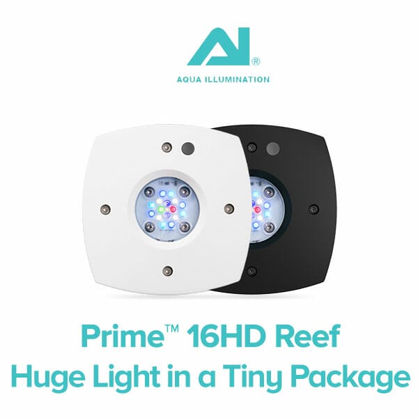 AI Prime 16 HD