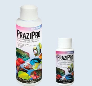 PraziPro 4oz